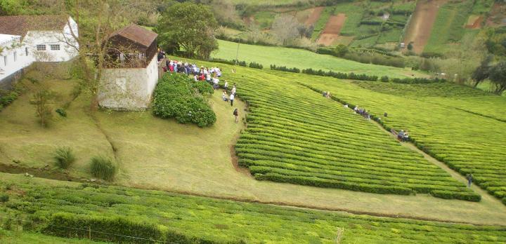Voyage sur-mesure, Porto Formoso